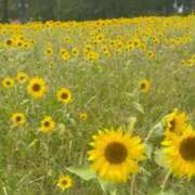 ヒメ日記 2025/08/06 09:49 投稿 りな ぷるるん小町日本橋店