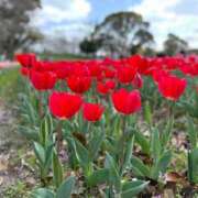 ヒメ日記 2025/08/10 23:15 投稿 りな ぷるるん小町日本橋店