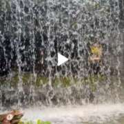 ヒメ日記 2025/08/27 08:00 投稿 りな ぷるるん小町日本橋店