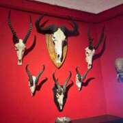 ヒメ日記 2025/10/16 23:01 投稿 りな ぷるるん小町日本橋店