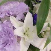 ヒメ日記 2025/11/07 14:02 投稿 りな ぷるるん小町日本橋店