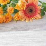 ヒメ日記 2025/04/12 17:45 投稿 まさみ 待ちナビ