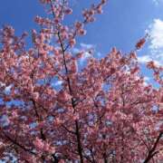 ヒメ日記 2025/03/15 10:41 投稿 財前あきら ウルトラプラチナム