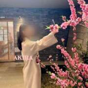 ヒメ日記 2025/03/31 08:52 投稿 財前あきら ウルトラプラチナム