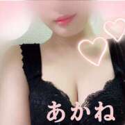 ヒメ日記 2025/01/31 21:22 投稿 あかね 千葉人妻セレブリティ（ユメオト）