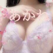 ヒメ日記 2025/04/04 00:05 投稿 あかね 千葉人妻セレブリティ（ユメオト）