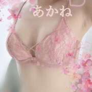 ヒメ日記 2025/06/15 09:12 投稿 あかね 千葉人妻セレブリティ（ユメオト）