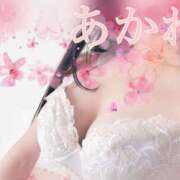 ヒメ日記 2026/04/01 20:00 投稿 あかね 千葉人妻セレブリティ（ユメオト）