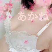 ヒメ日記 2026/04/12 10:00 投稿 あかね 千葉人妻セレブリティ（ユメオト）