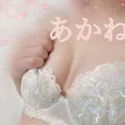 ヒメ日記 2026/07/11 14:10 投稿 あかね 千葉人妻セレブリティ（ユメオト）