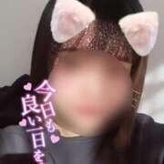 ヒメ日記 2025/01/01 13:49 投稿 ふうちゃん Secret　select