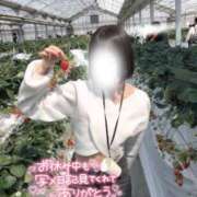 ヒメ日記 2025/03/20 14:02 投稿 はつこい 密着指導！バカンス学園 尼崎校