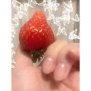 ヒメ日記 2025/04/16 12:44 投稿 十条ましろ アロマファンタジー高輪