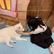 ヒメ日記 2025/09/04 04:11 投稿 ゆな X-PARTY