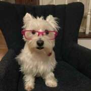 ヒメ日記 2025/09/26 18:02 投稿 みみ 11チャンネル