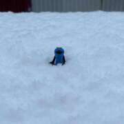 ヒメ日記 2025/11/15 18:45 投稿 みみ 11チャンネル