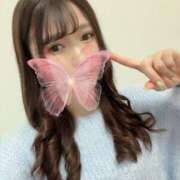 ヒメ日記 2025/01/31 05:51 投稿 祈りのひととき グッドスマイル