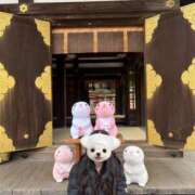 ヒメ日記 2025/02/19 16:32 投稿 祈りのひととき グッドスマイル