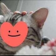 ヒメ日記 2025/07/26 17:26 投稿 リカ 快楽玉乱堂