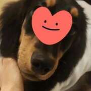 ヒメ日記 2025/11/24 18:16 投稿 リカ 快楽玉乱堂