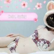 ヒメ日記 2025/03/01 10:25 投稿 こなつ clubさくら梅田店