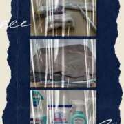 ヒメ日記 2025/12/29 17:55 投稿 こなつ clubさくら梅田店