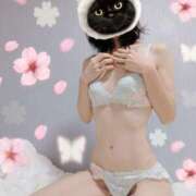 ヒメ日記 2025/03/15 09:35 投稿 こなつ 奥様さくら梅田店