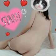 ヒメ日記 2025/04/12 08:22 投稿 こなつ 奥様さくら梅田店