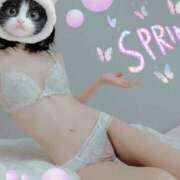 ヒメ日記 2025/04/12 10:25 投稿 こなつ 奥様さくら梅田店