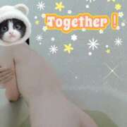 ヒメ日記 2025/04/27 09:15 投稿 こなつ 奥様さくら梅田店