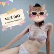 ヒメ日記 2025/09/10 09:15 投稿 こなつ 奥様さくら梅田店