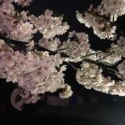 ヒメ日記 2025/04/11 02:29 投稿 らび 福島♂風俗の神様 郡山店