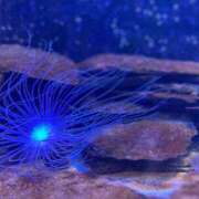 ヒメ日記 2025/04/27 09:40 投稿 えいみ☆超美形人気爆発 エアポート