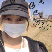 ヒメ日記 2025/02/20 01:54 投稿 あきら 桃李（とうり）