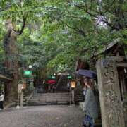 ヒメ日記 2025/07/31 00:54 投稿 あきら 桃李（とうり）