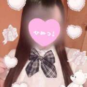 てんか きょうも♡ 激安ドットコム