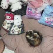 ヒメ日記 2025/06/29 09:50 投稿 凪(なぎ) 鶯谷デッドボール