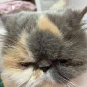 ヒメ日記 2025/07/04 08:11 投稿 凪(なぎ) 鶯谷デッドボール