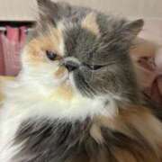 ヒメ日記 2025/07/20 11:29 投稿 凪(なぎ) 鶯谷デッドボール