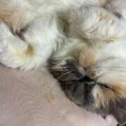 ヒメ日記 2025/07/27 13:00 投稿 凪(なぎ) 鶯谷デッドボール