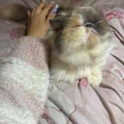 ヒメ日記 2025/10/17 13:16 投稿 凪(なぎ) 鶯谷デッドボール