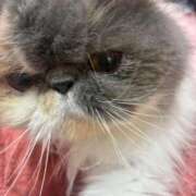 ヒメ日記 2025/12/07 08:49 投稿 凪(なぎ) 鶯谷デッドボール