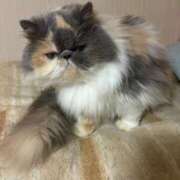 ヒメ日記 2026/02/01 20:49 投稿 凪(なぎ) 鶯谷デッドボール