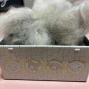 ヒメ日記 2026/02/24 10:19 投稿 凪(なぎ) 鶯谷デッドボール