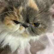 ヒメ日記 2026/02/26 11:39 投稿 凪(なぎ) 鶯谷デッドボール