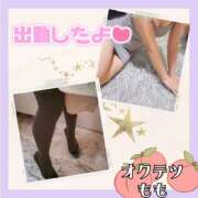 ヒメ日記 2025/01/18 11:45 投稿 もも 奥鉄オクテツ東京店（デリヘル市場）