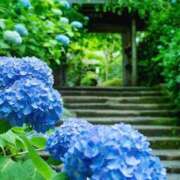 ヒメ日記 2025/05/30 16:45 投稿 もも 奥鉄オクテツ東京店（デリヘル市場）