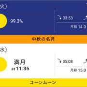 ヒメ日記 2024/09/18 03:16 投稿 れい【FG系列】 フィーリングin横浜