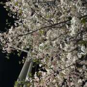 ヒメ日記 2025/04/28 04:03 投稿 れい【FG系列】 フィーリングin横浜