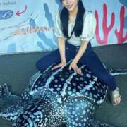 ヒメ日記 2025/04/08 18:00 投稿 はな コートダジュール